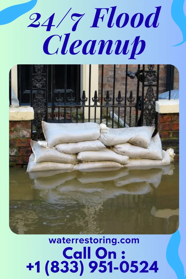 24/7 Flood Cleanup in Santee, SC