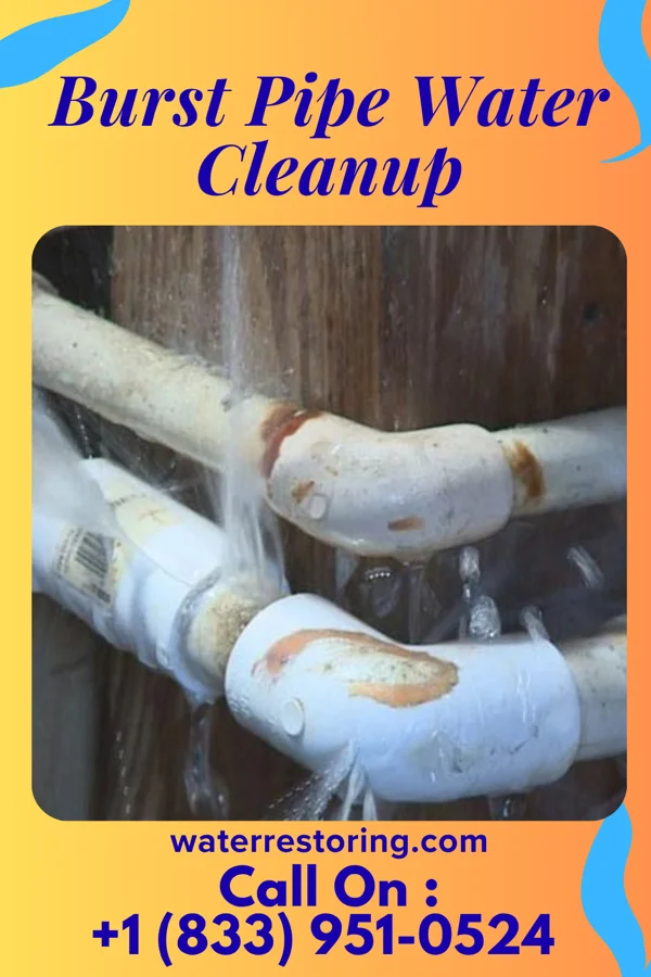 Burst Pipe Water Cleanup in Santee, SC