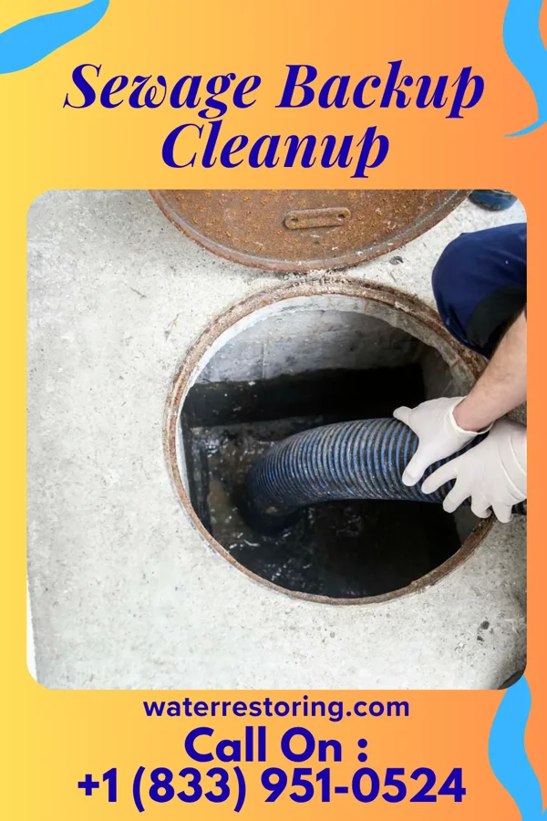 Sewage Backup Cleanup in Santee, SC